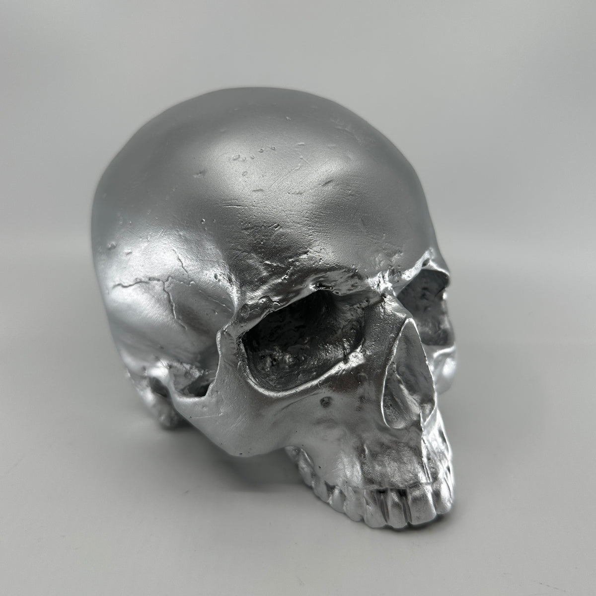 Silver skull shop