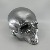 Silver Skull