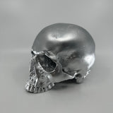 Silver Skull