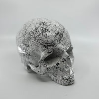 White "Marble" Skull