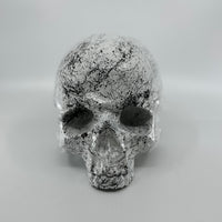 White "Marble" Skull