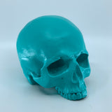 Tiffany Skull