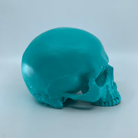 Tiffany Skull